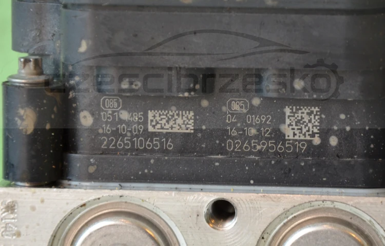 11978cz5.jpg