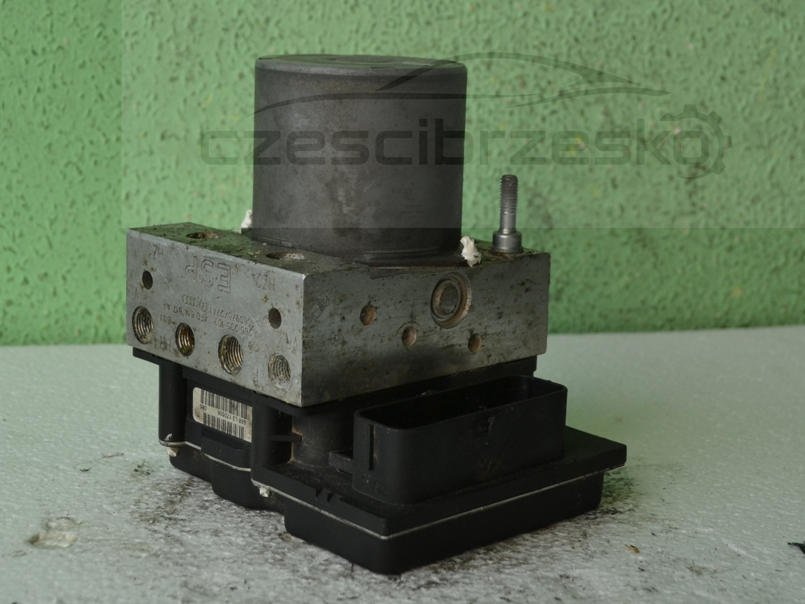 12261cz1.JPG