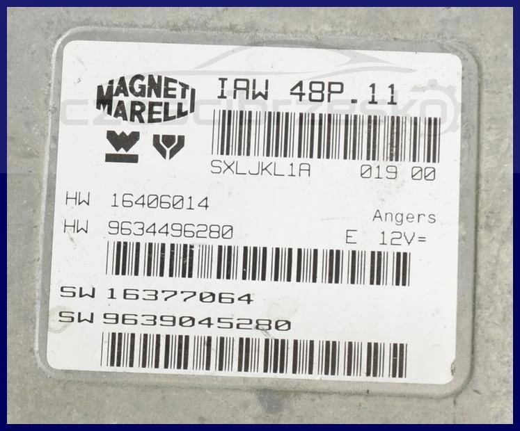 5104526784_1