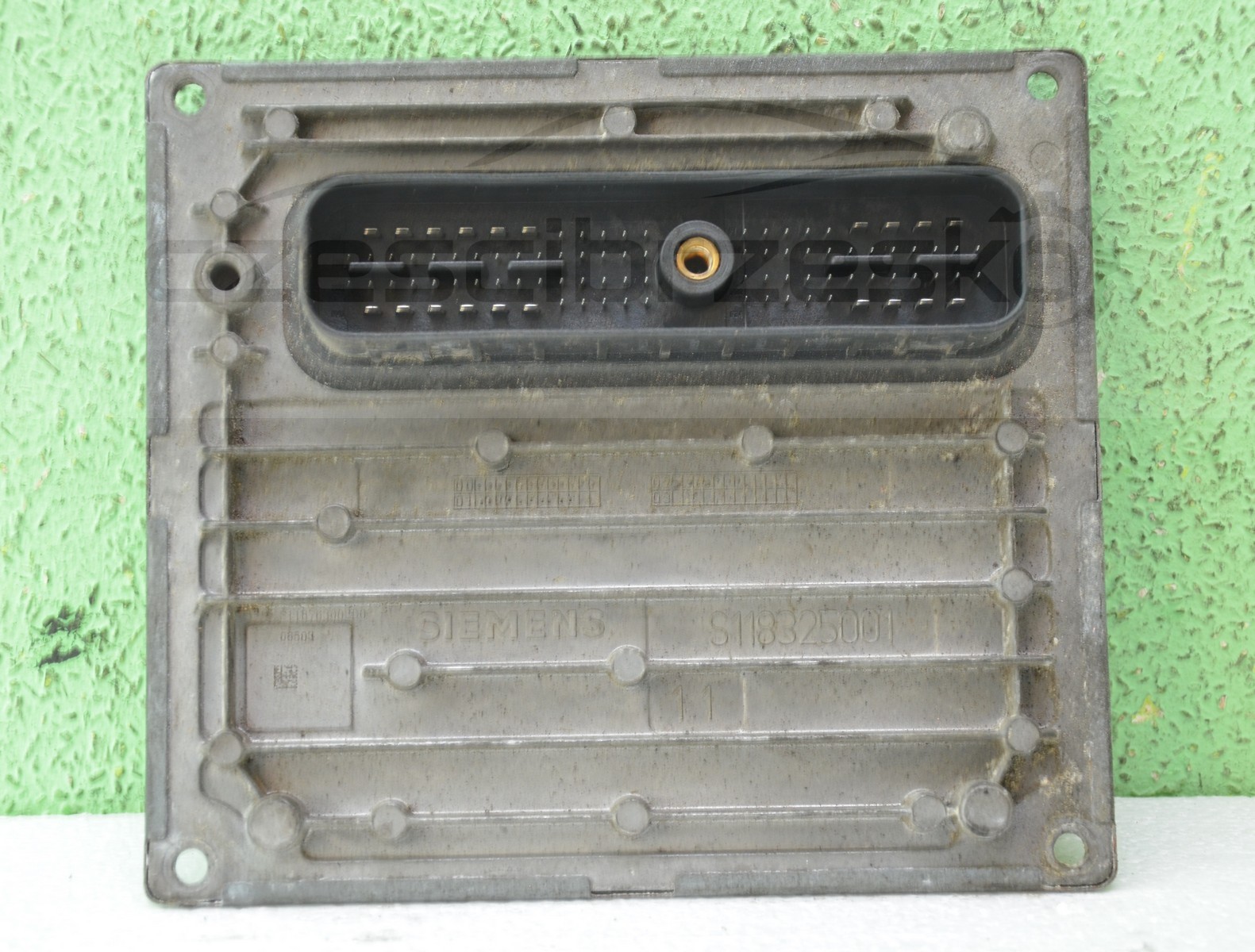 7289949137