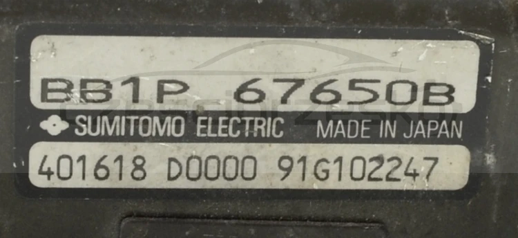 5089018667_1