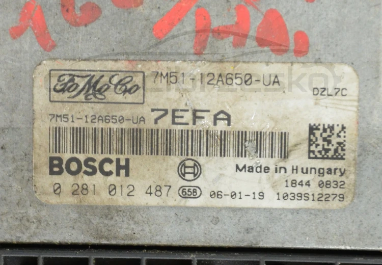 7296878569_2