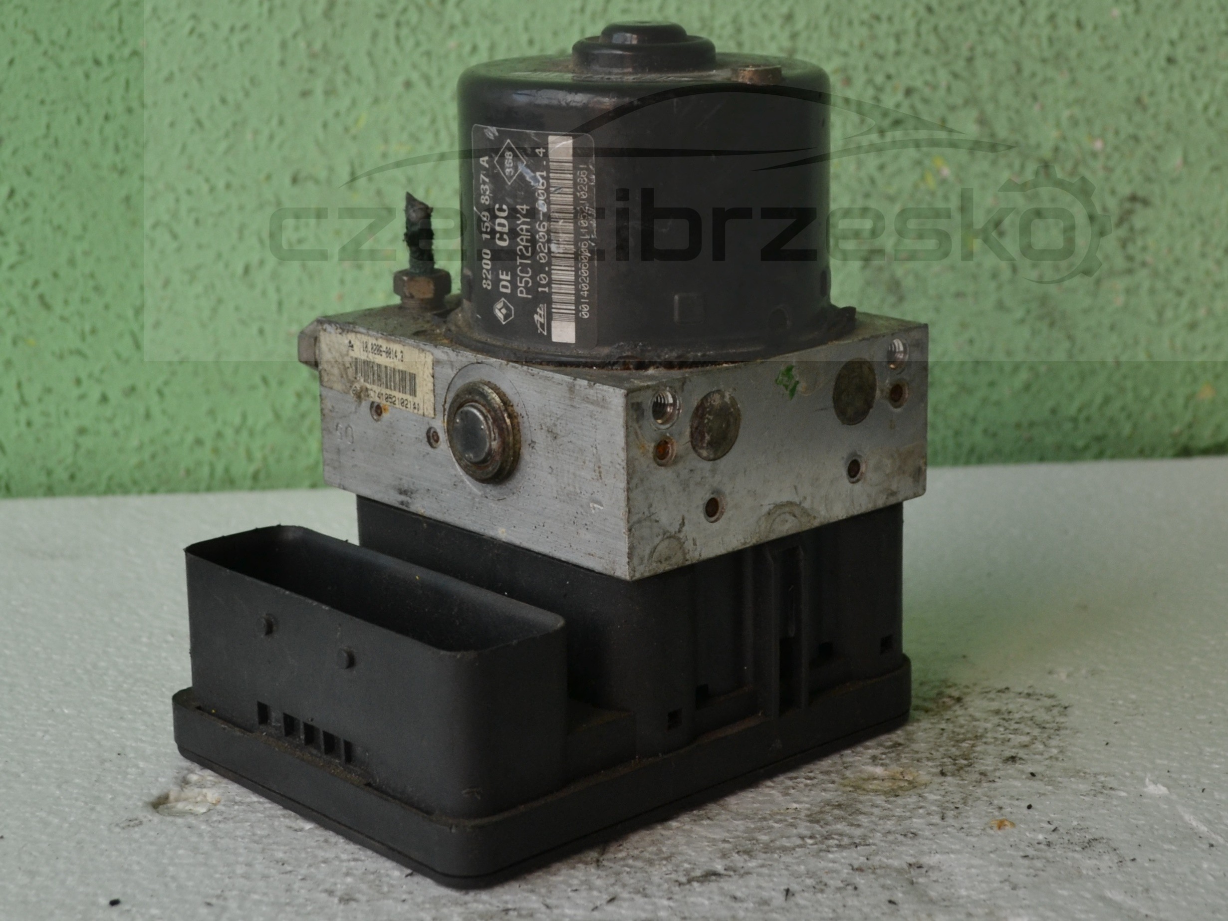 12259cz2.JPG