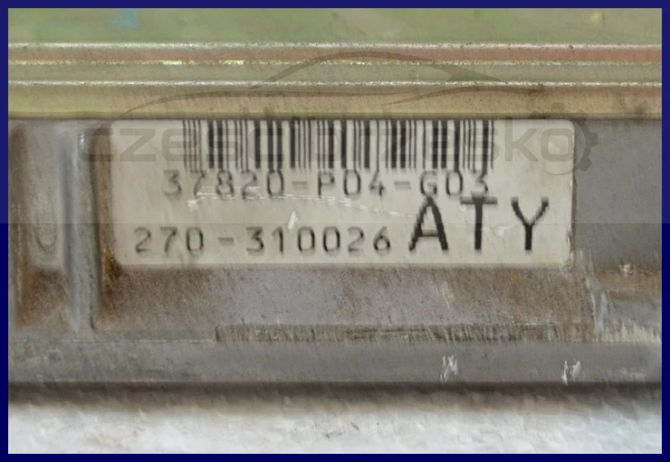 5646097687_1