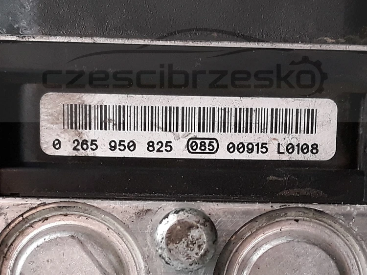 12284cz3.jpg