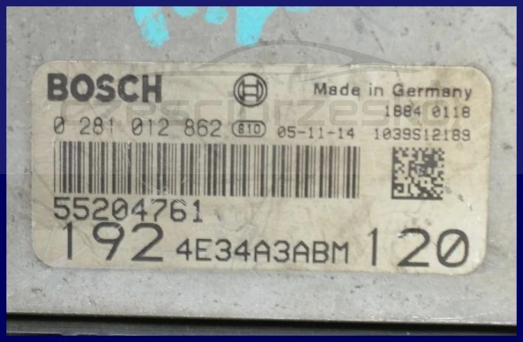 5456553432_2