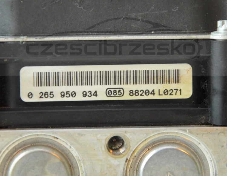 12137cz5.jpg