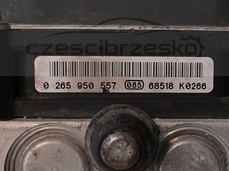 12261cz3.JPG