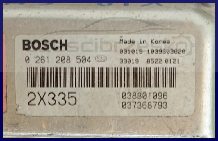 5266876963_1