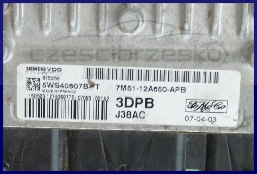 5462969044_1