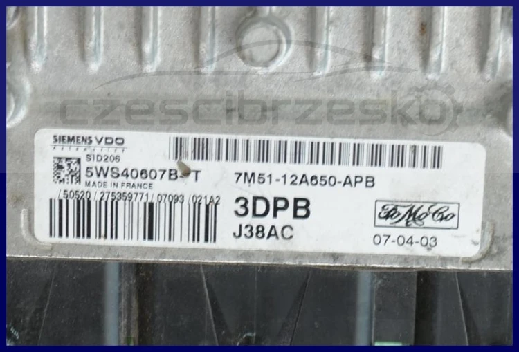 5462969044_1