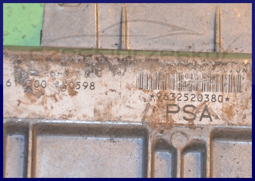 6648100298_1