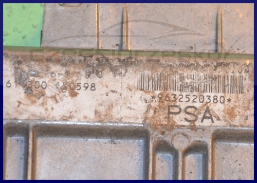 6648100298_1
