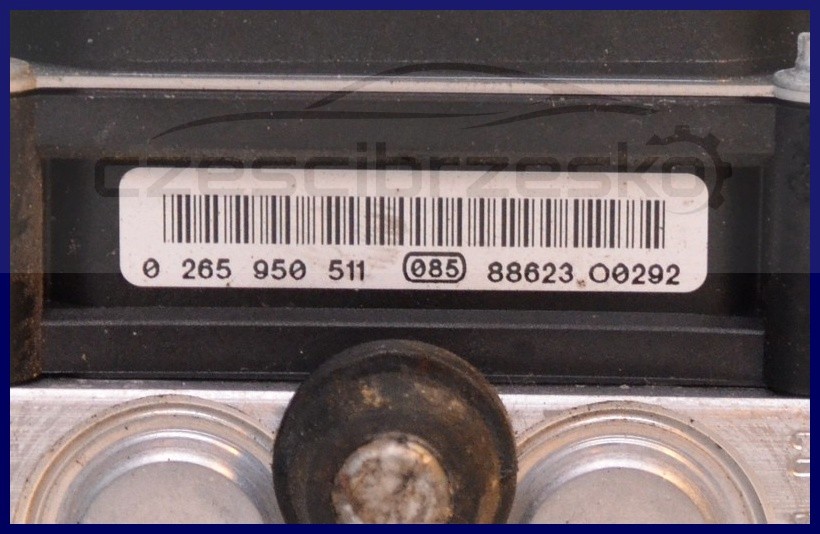 5823068490_1
