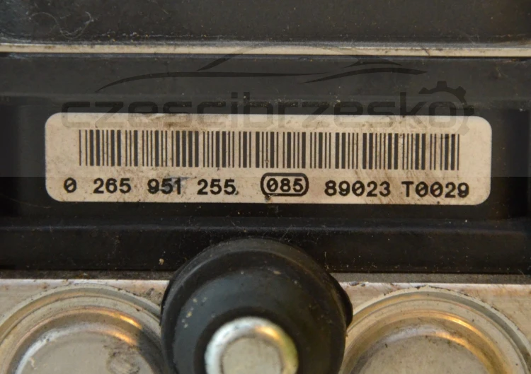 12366cz5.jpg