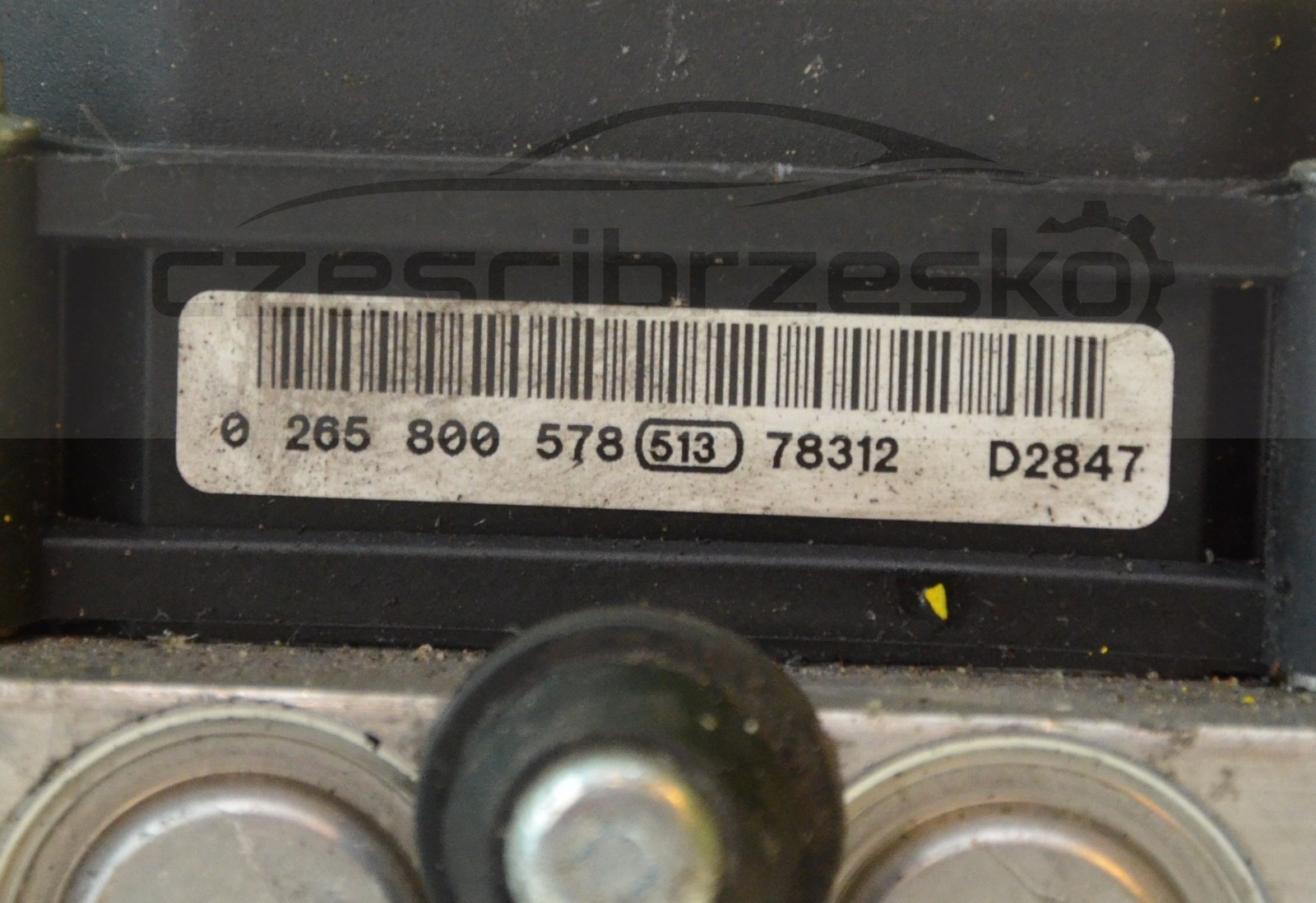 12386cz2.jpg