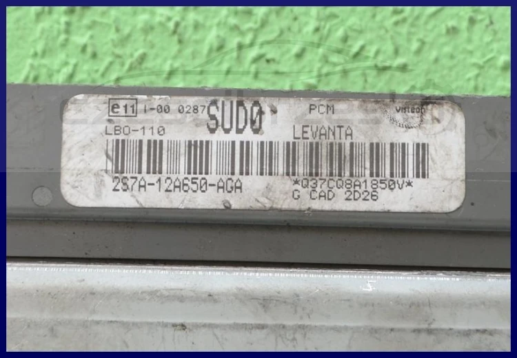 5551653571_1