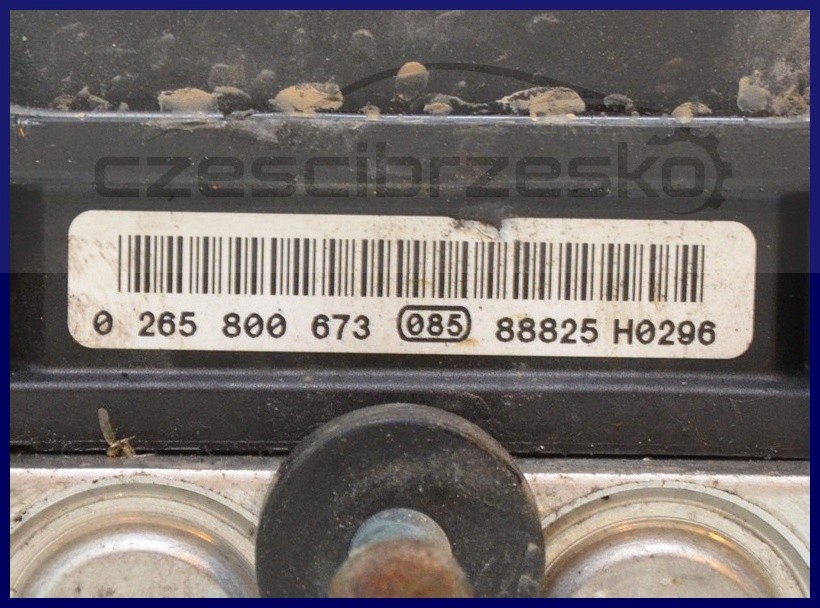 5833996830_1