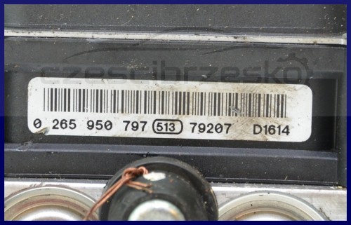 5933270433_1