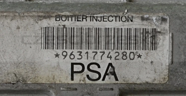 5079195433_1