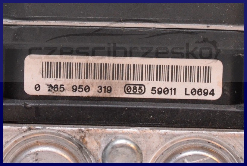 5853432006_1