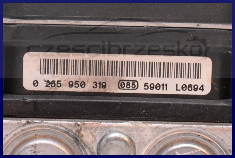 5853432006_1