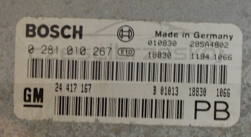 5041033344_1