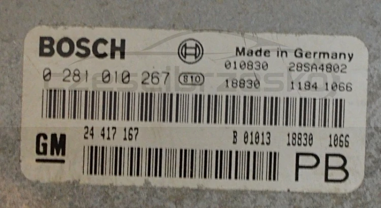 5041033344_1
