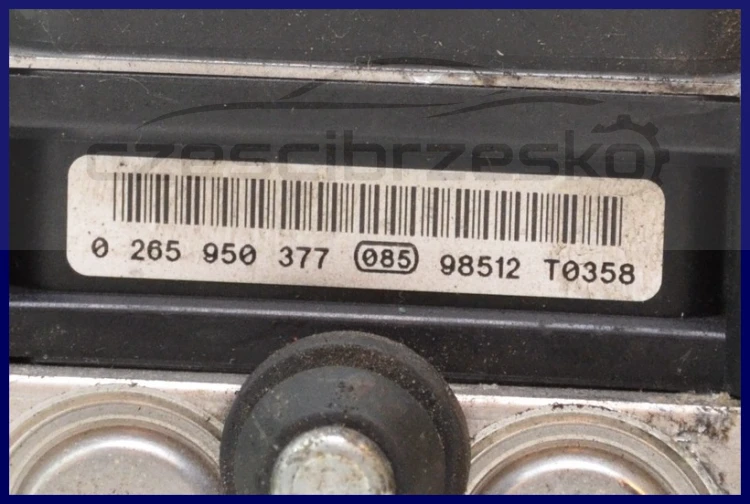 5833992461_1