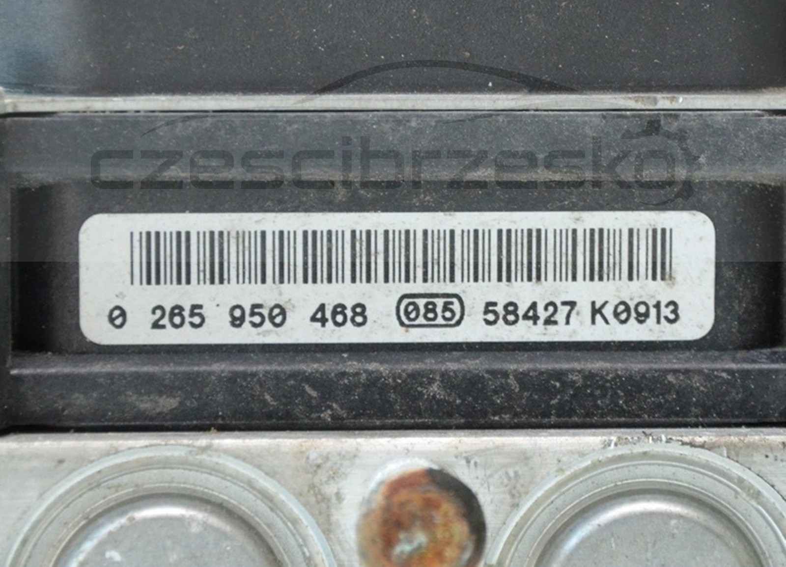 10185cz2.jpg