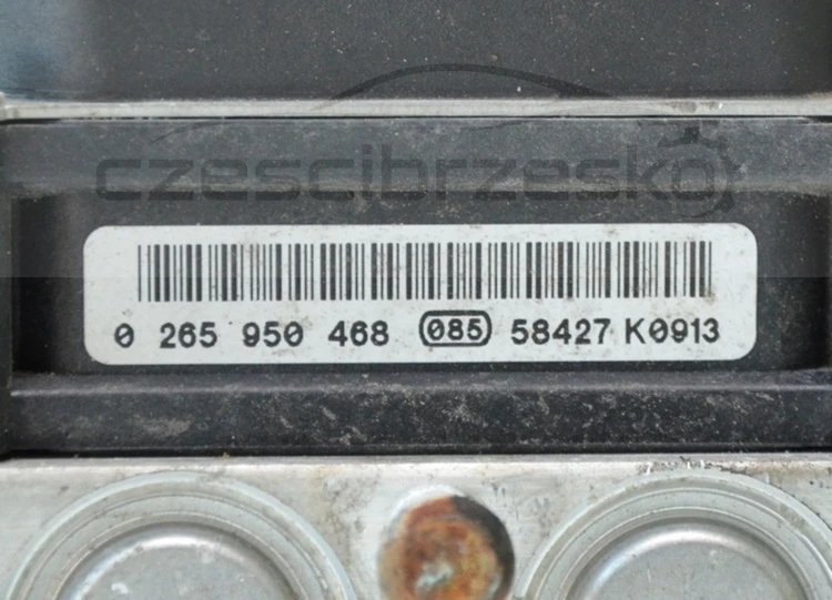 10185cz2.jpg