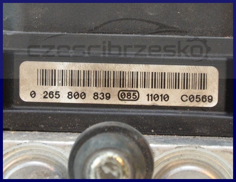 10161cz2.jpg