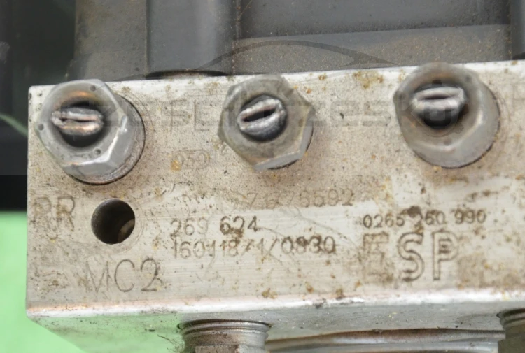11558cz6.jpg
