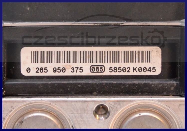 5853389419_1