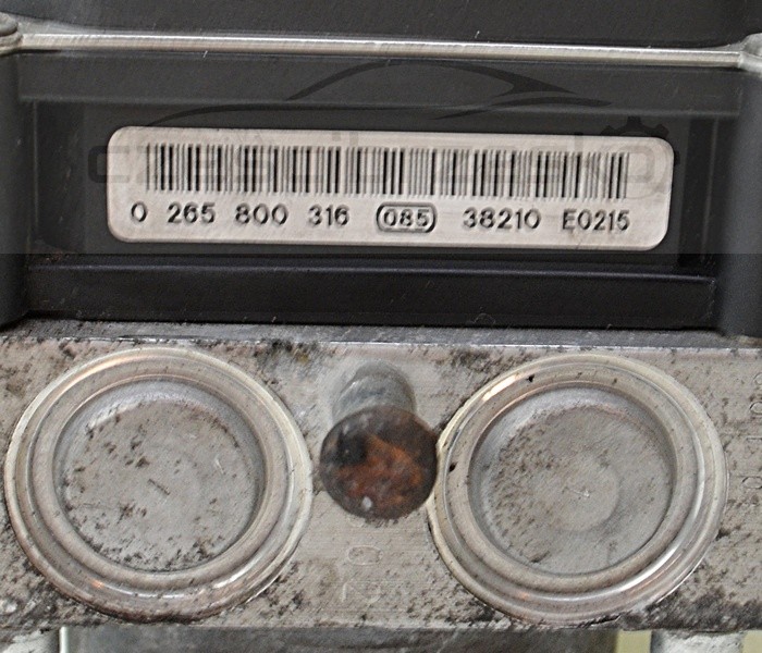 5619681275_1