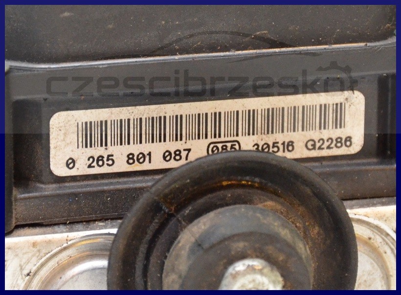 5893038887_1