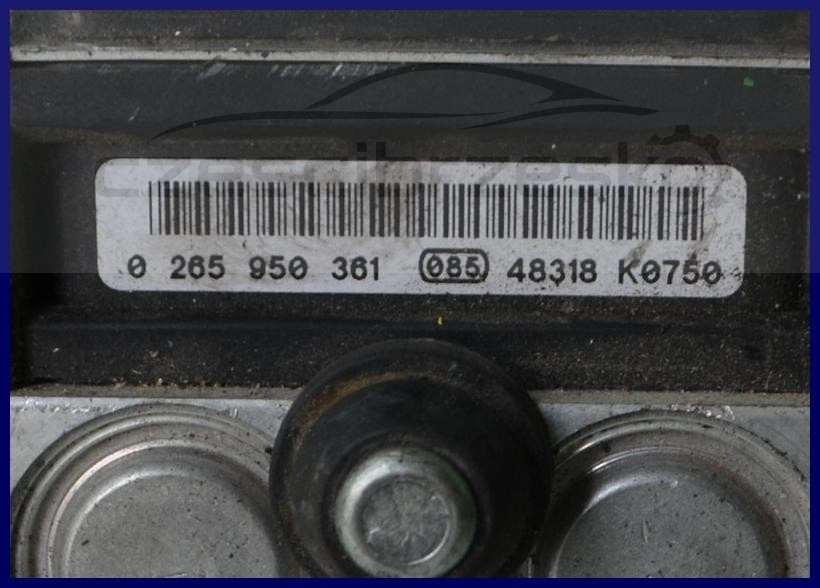 5599506582_1