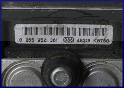5599506582_1