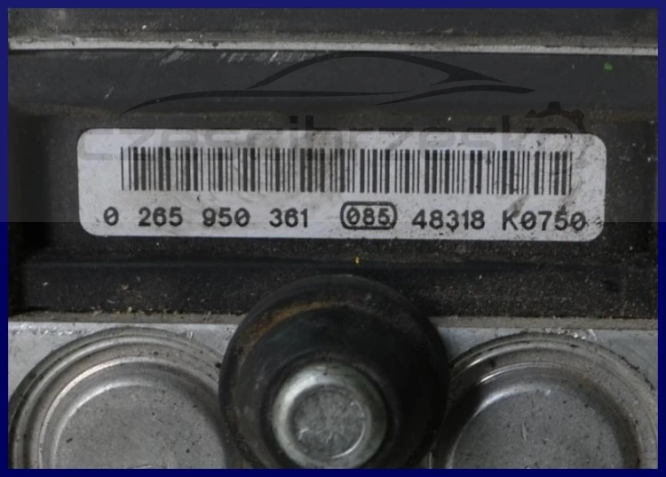 5599506582_1