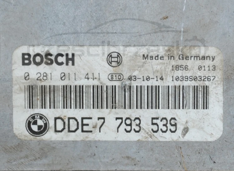 7302876989_2