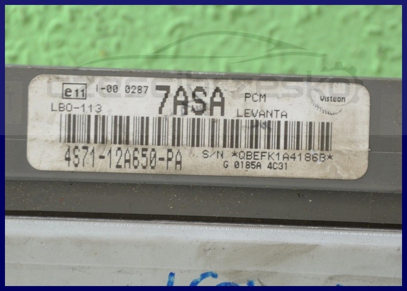 6075310881_1