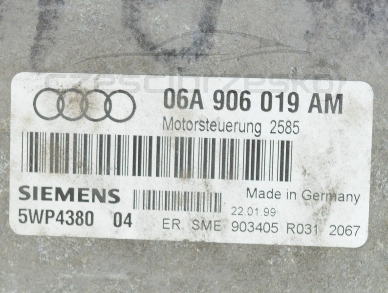 5098481196_1