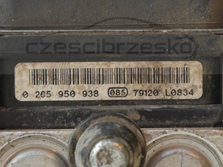 14206cz3.jpg