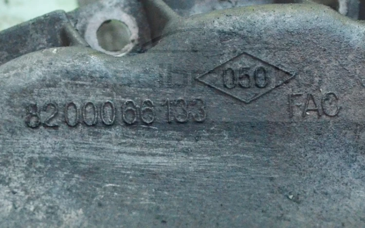 5075346477_2