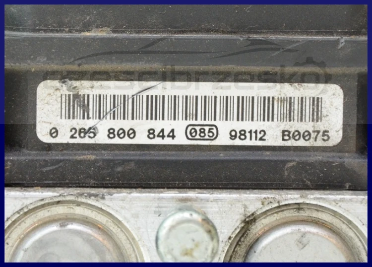5938189024_1