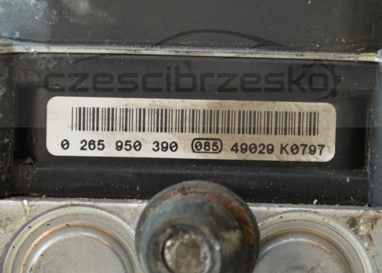 12013cz4.jpg