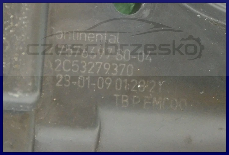 6766008082_1