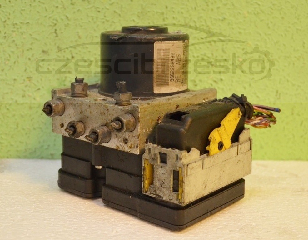 9805cz1.jpg