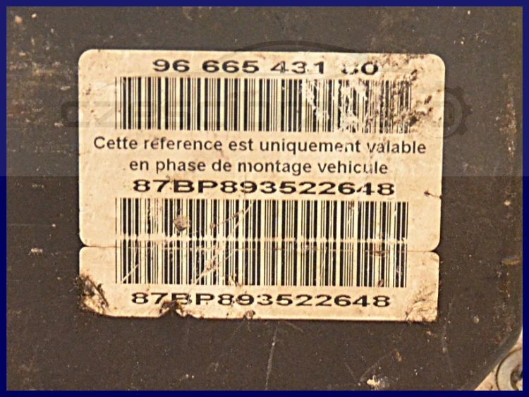 6656772724_2