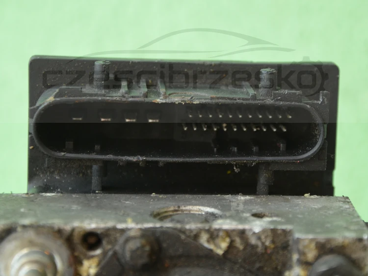 12169cz5.jpg